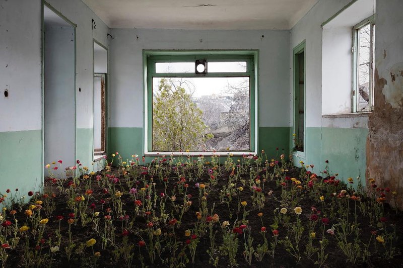Gohar Dashti, Untitled, 2017
