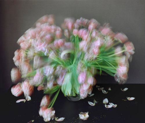 Michael Wesely, Untitled