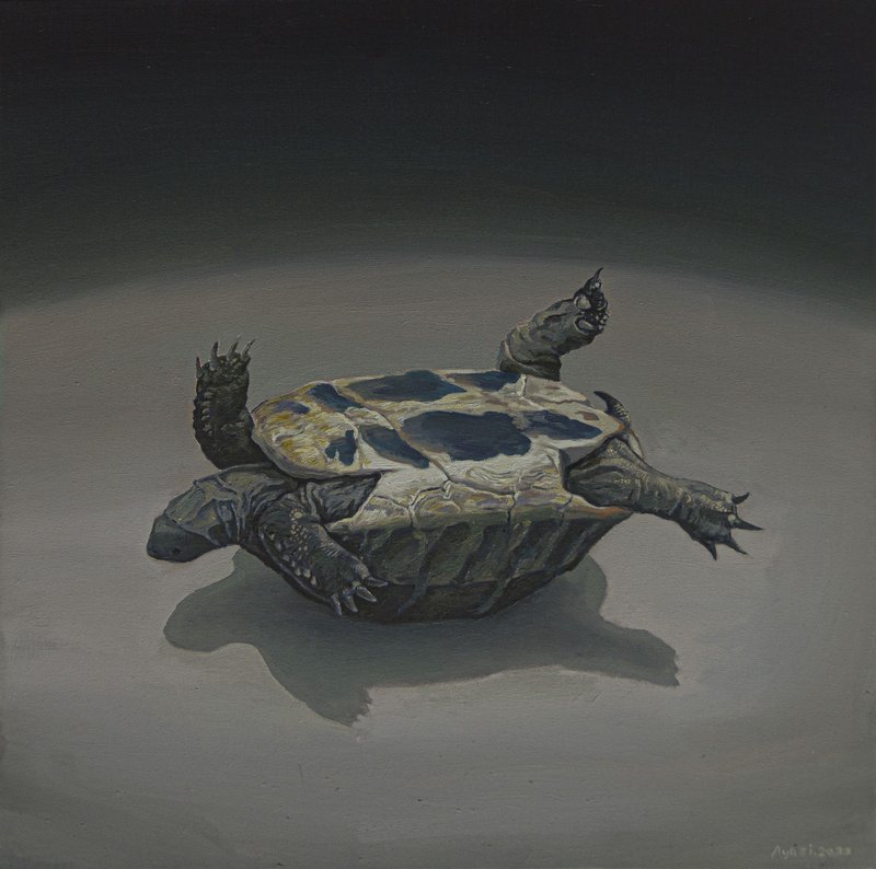 Hassan Ayazi, Untitled, 2022
