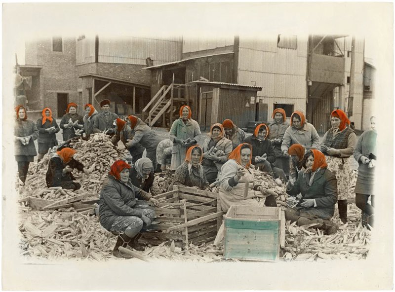 Victor and Sergey Kochetov, Working Woman, 1978