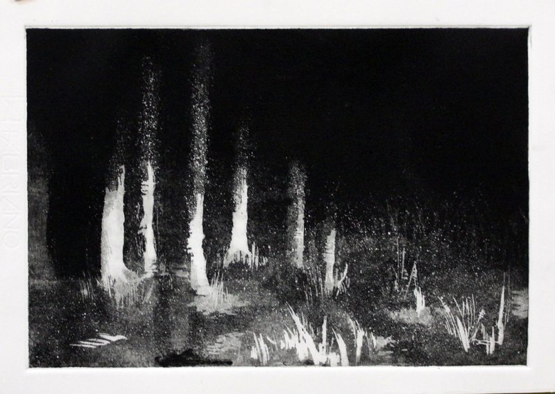 Anali Vakili, The Woods, 2019