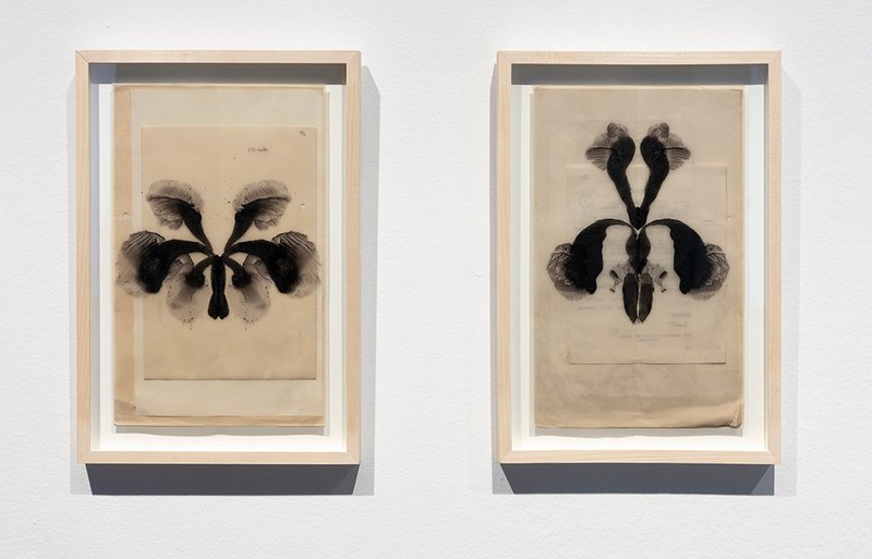Anahita Norouzi, The Circuit of Dispossession, 2022