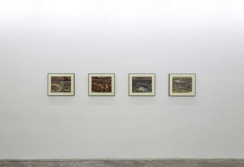 Disorder, installation view