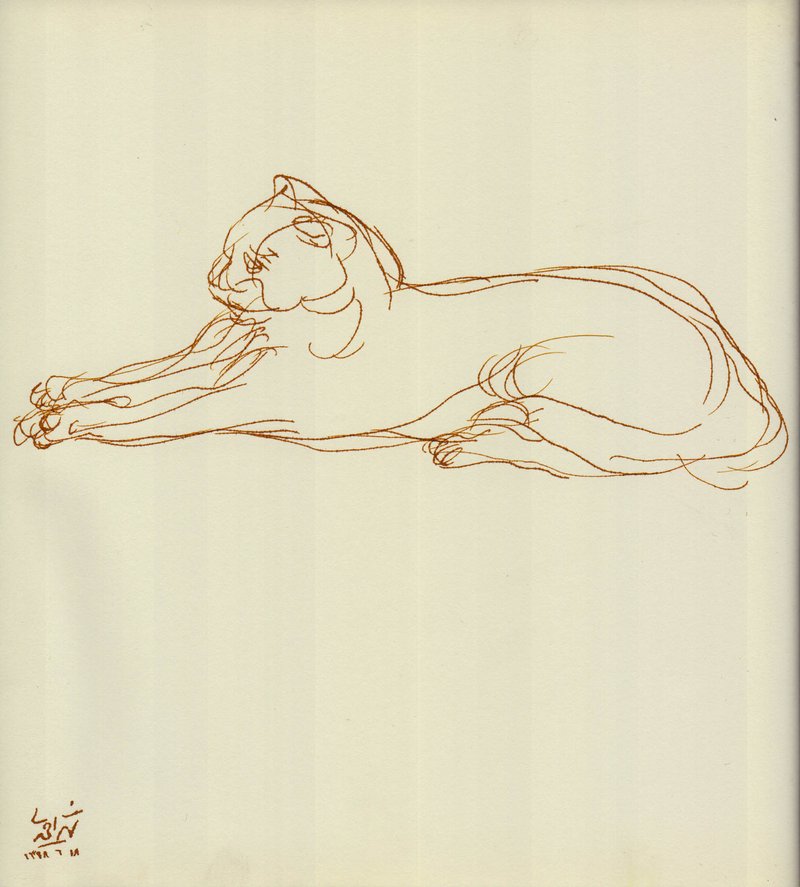 Hosein Shirahmadi, A Sitting Cat, 2019