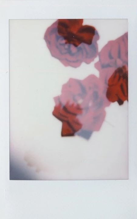 Janan Nozari, Untitled, 2020