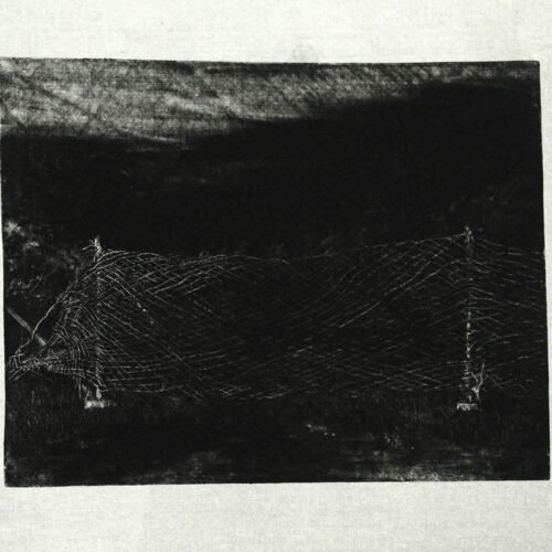 Shirin Heidarinejad, Untitled, 2021