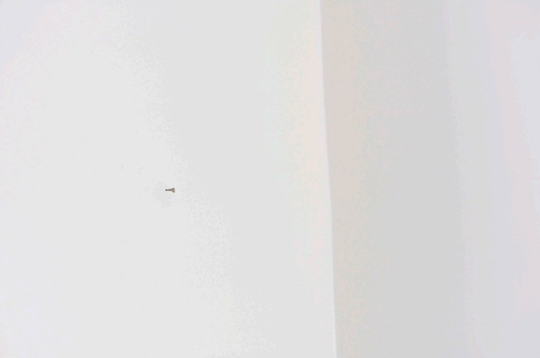 Golara Jahanian, Untitled, 2024