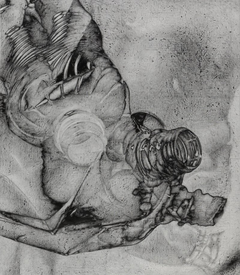 Shaya Shahrestani, Aquarium , 2021