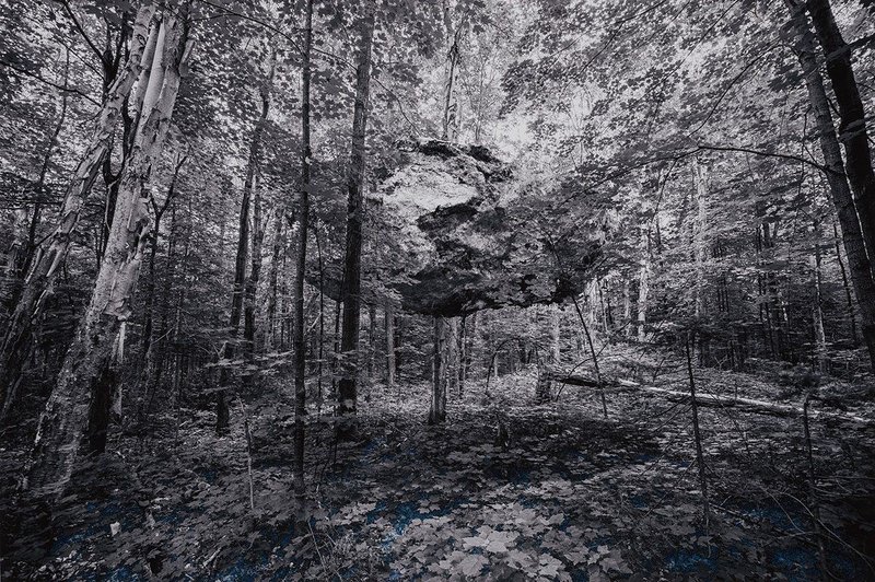 Payam Mofidi, Untitled, 2022