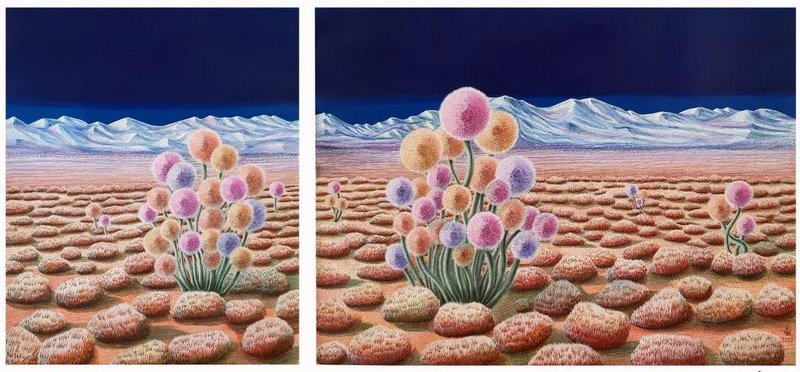 Arezoo Shahdadi, Concealment