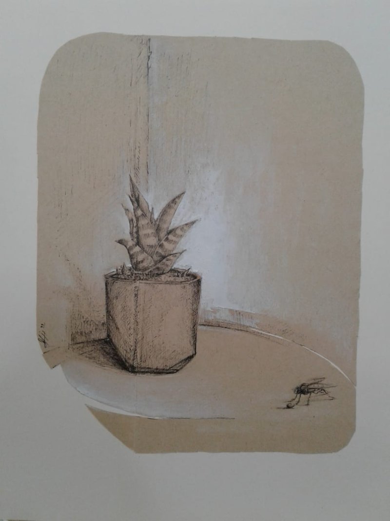 Mohamad Naghib, Untitled