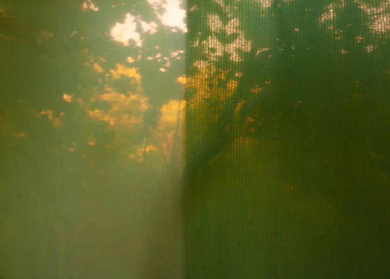 Omid Omidvari, Untitled